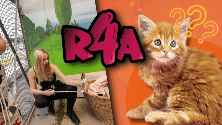 Raid4Aid