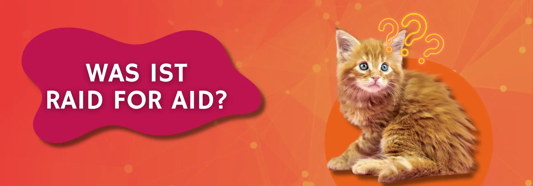 Raid4Aid