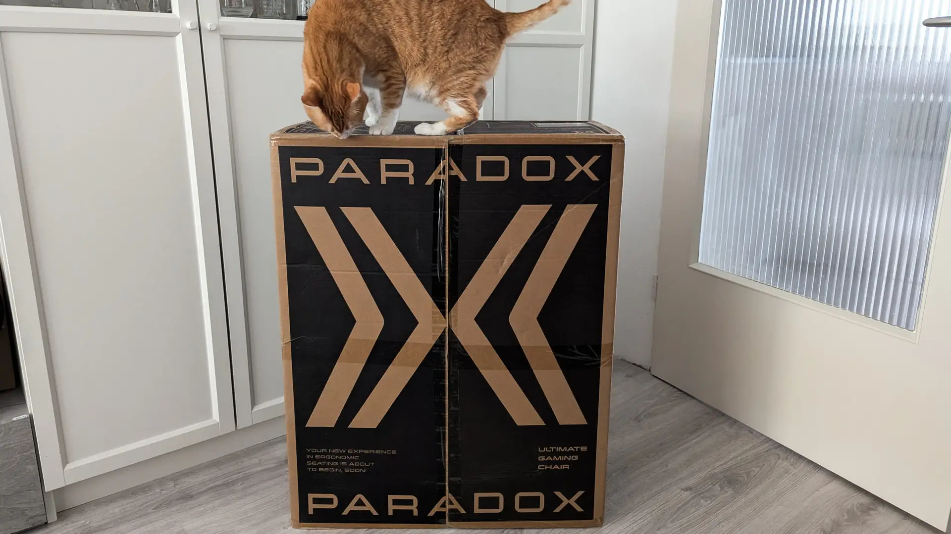 Paradox24 - Forsendelsesboks